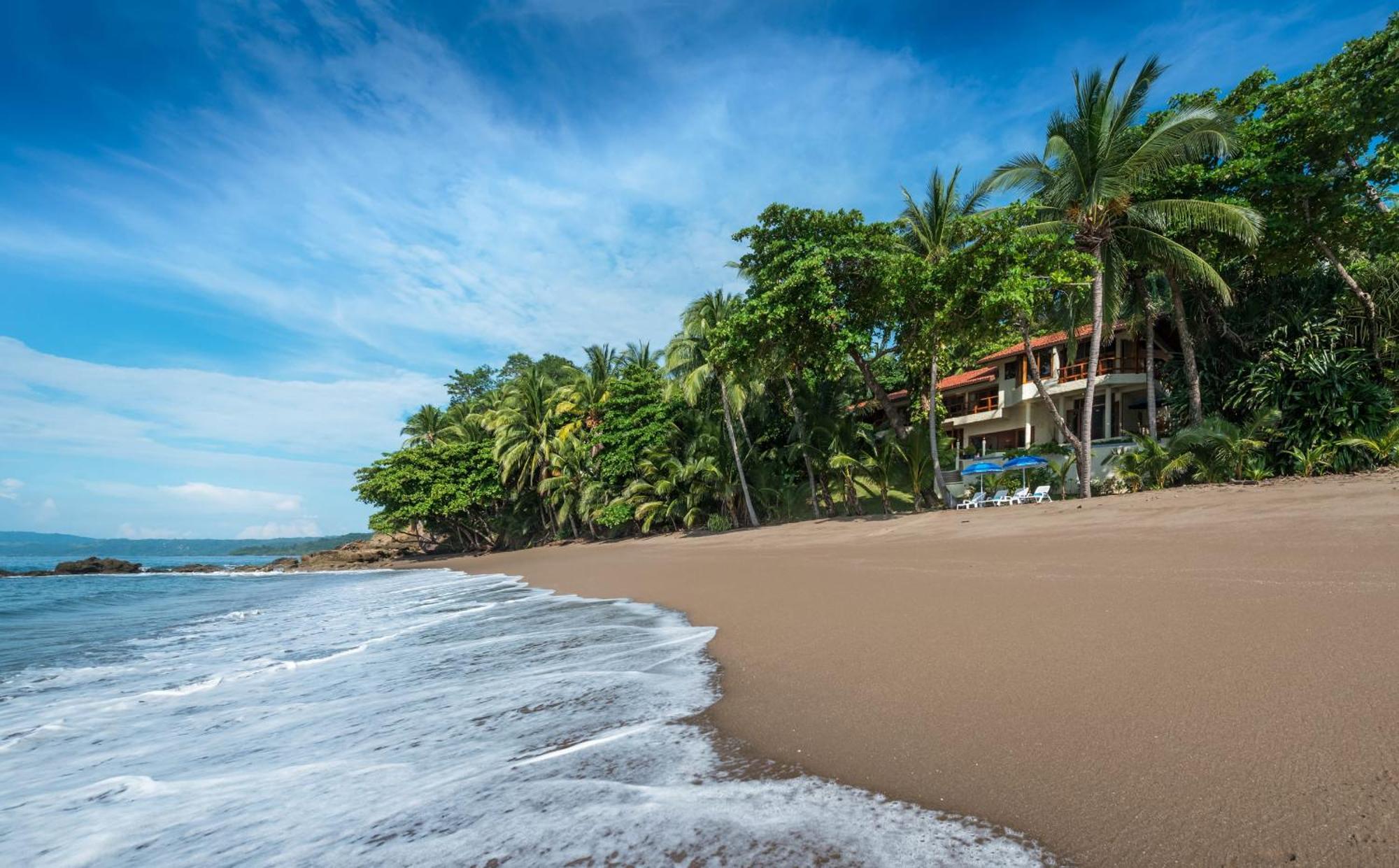 Elegant Costa Rican Villa With Oceanfront Infinity Pool Río Grande Eksteriør billede